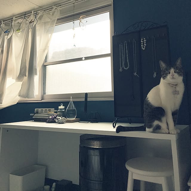 Shihoさんの実例写真