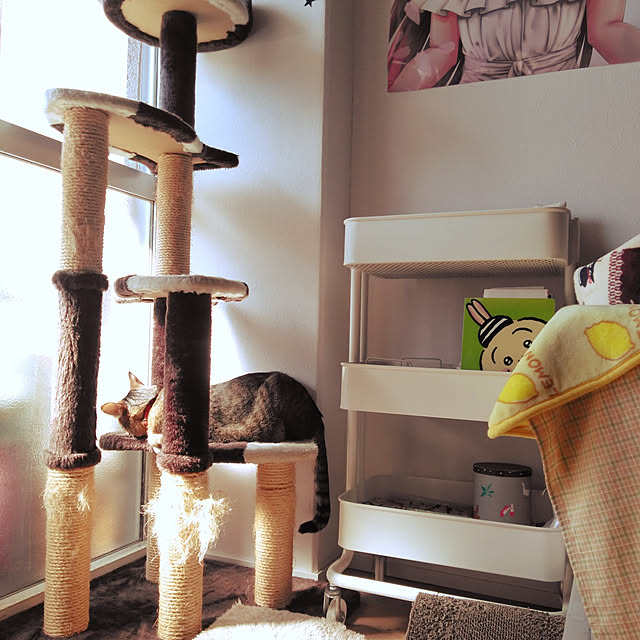 futukoのペティオ (Petio)-キャットタワー 猫タワー 据え置き型 ケージ ゲージ おしゃれ アドメイト Add.Mate 猫のおあそびポール お魚ファミリー ハイタイプ 室内の家具・インテリア写真