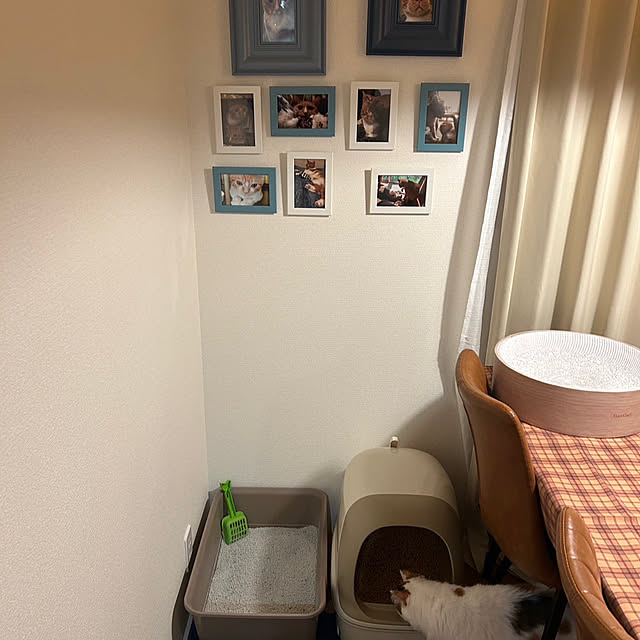 Akiさんの部屋