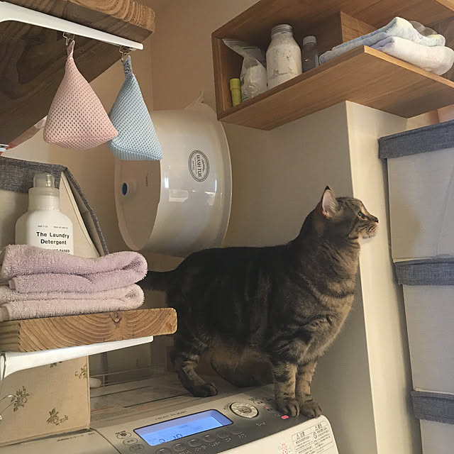 mikomaruさんの実例写真
