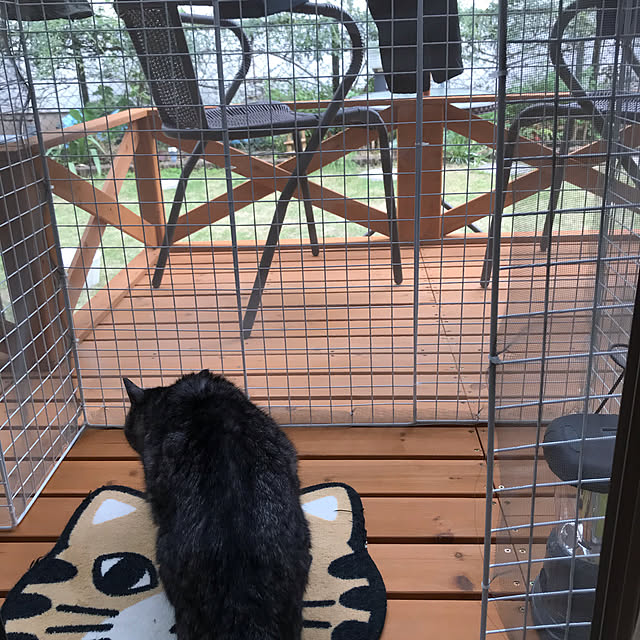 daikichiさんの実例写真