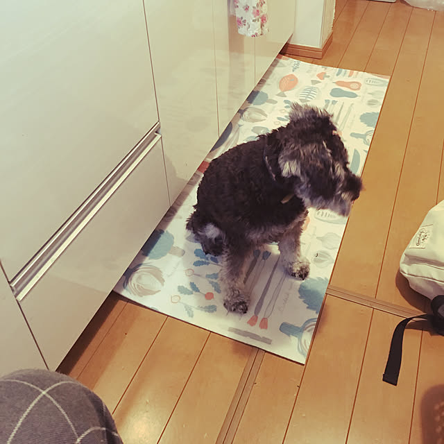 Mikaさんの実例写真