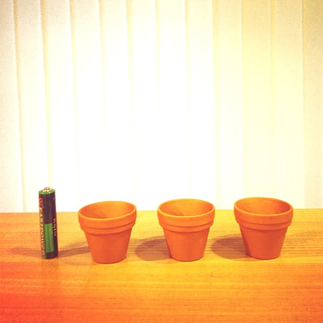 Takuさんの実例写真