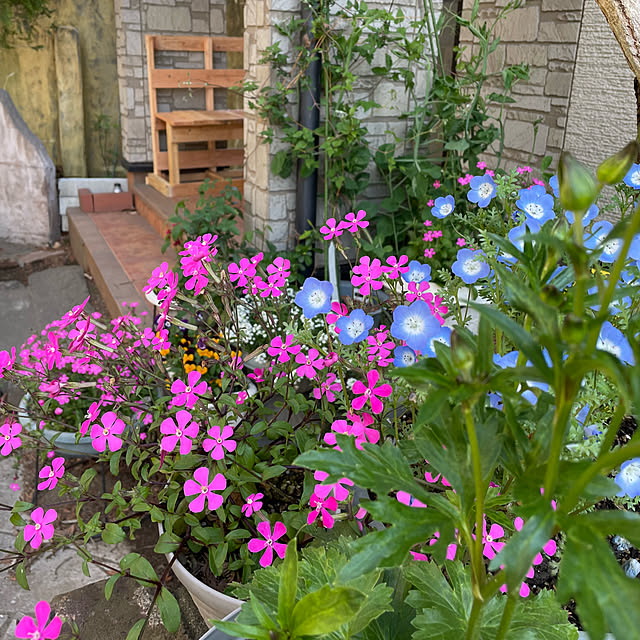 natsumiさんの部屋