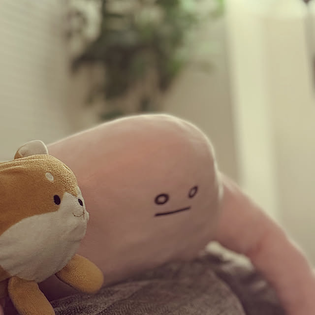 guropanさんの実例写真