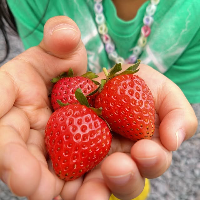 mokukoさんの実例写真