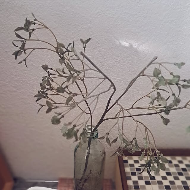 shinoさんの部屋