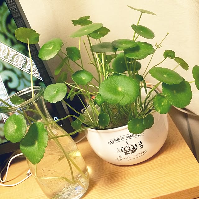 sskさんの実例写真