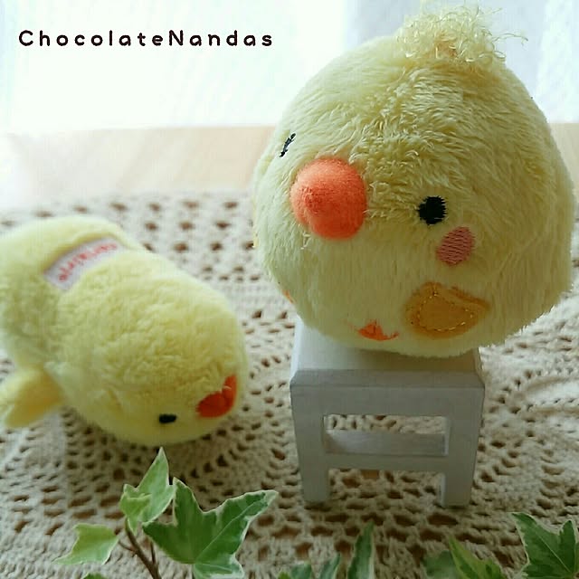 ChocolateNandasさんの実例写真