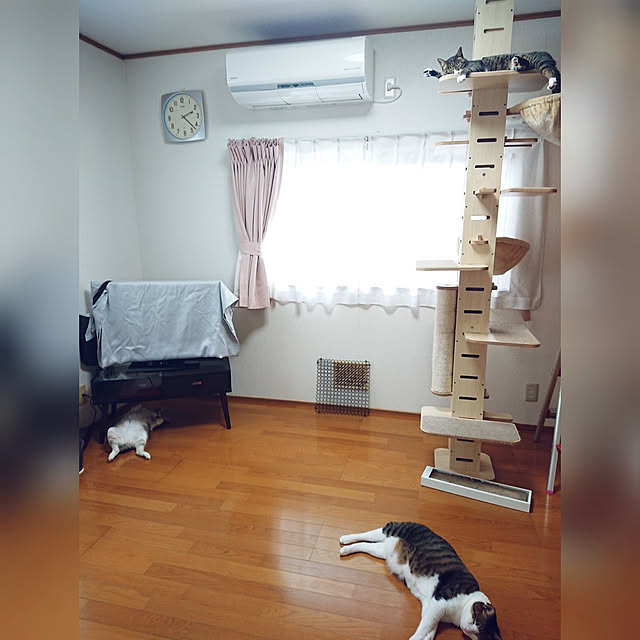 nachiさんの実例写真