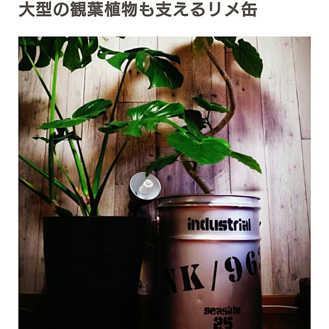 norikuuさんの実例写真
