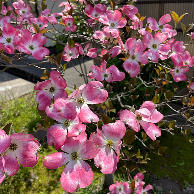 kakoさんの部屋