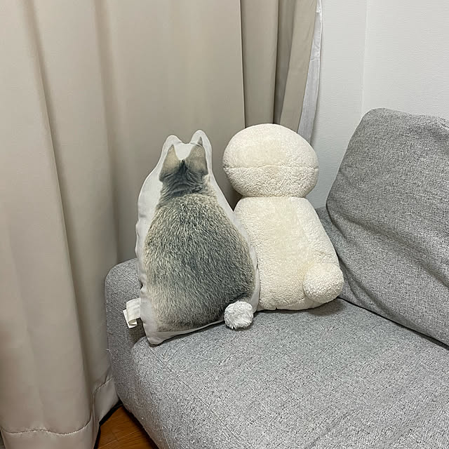 siyuan9036さんの実例写真