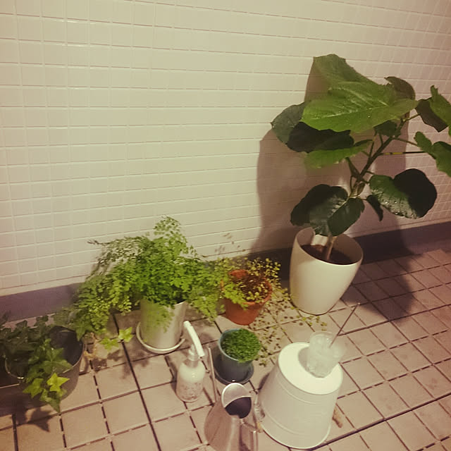 hanacocoさんの実例写真