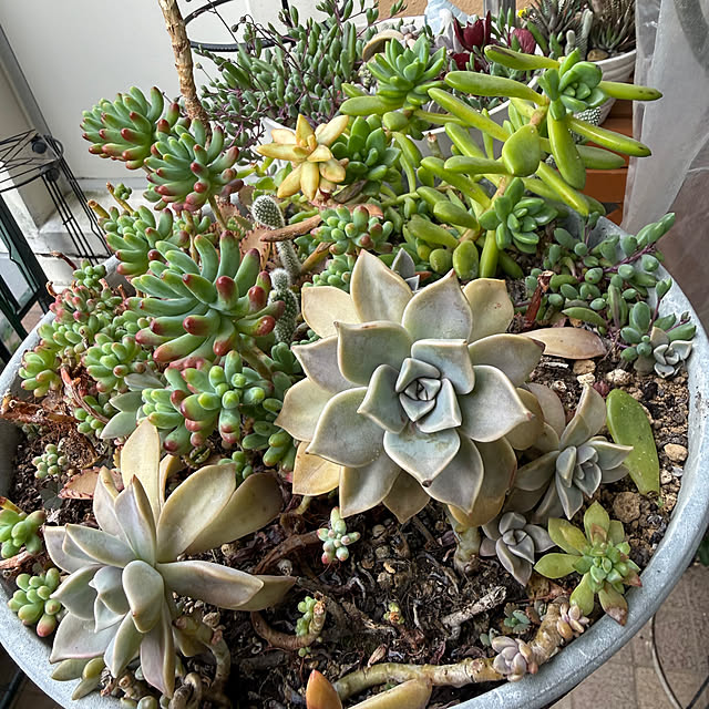 Aqettyさんの部屋