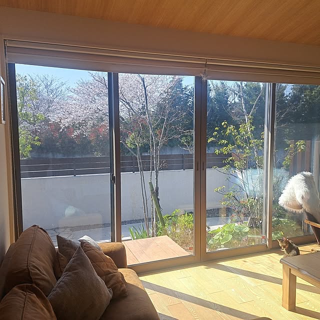Saranさんの実例写真