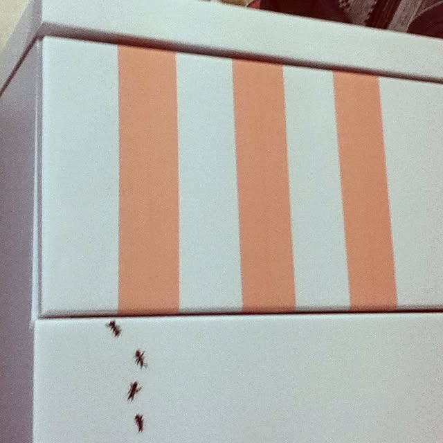 mielさんの実例写真