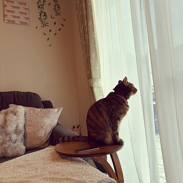 部屋全体/ブランケット/ソファ/クッション/サイドテーブル...などのインテリア実例 - 2026-01-17 23:40:18