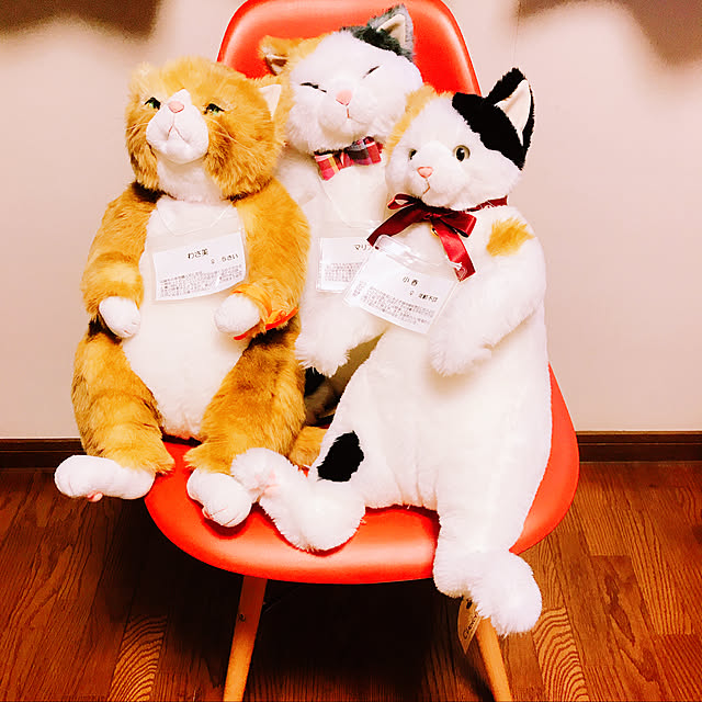 chat.ronronさんの実例写真