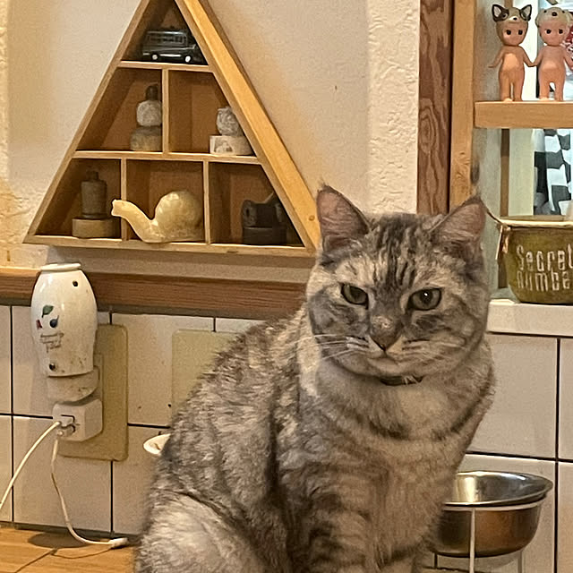 COCOさんの実例写真