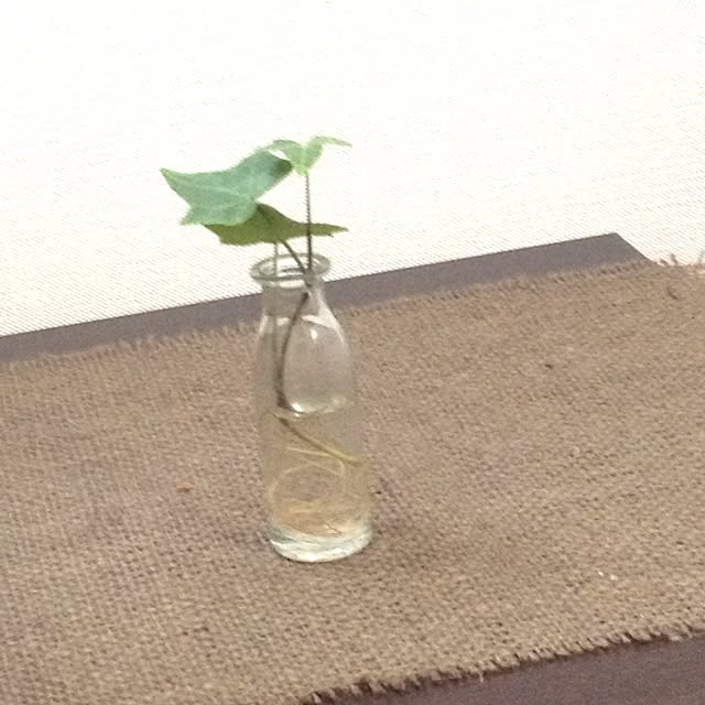 akiko.shu4.29さんの実例写真