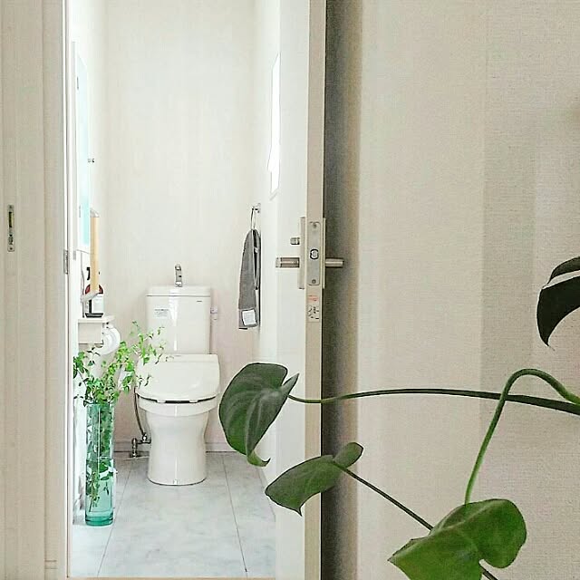 バス/トイレ/インテリア/GREEN LIFE/ボタニカル/シンプル...などのインテリア実例 - 2016-08-12 09:01:29
