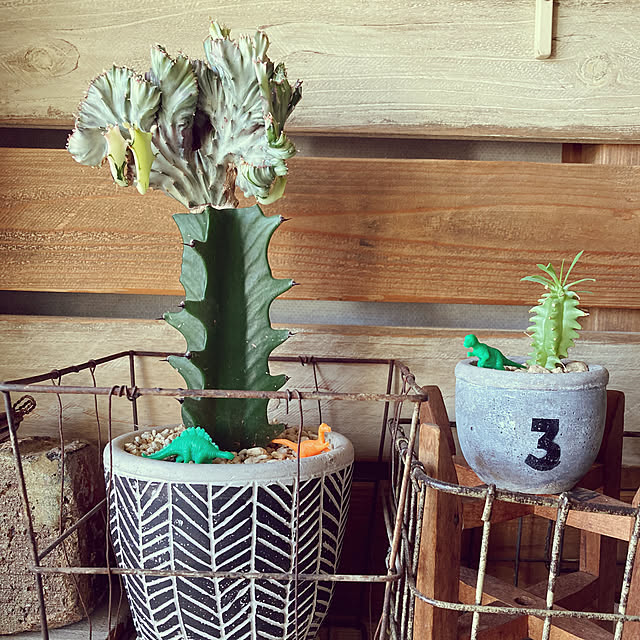 haruさんの実例写真