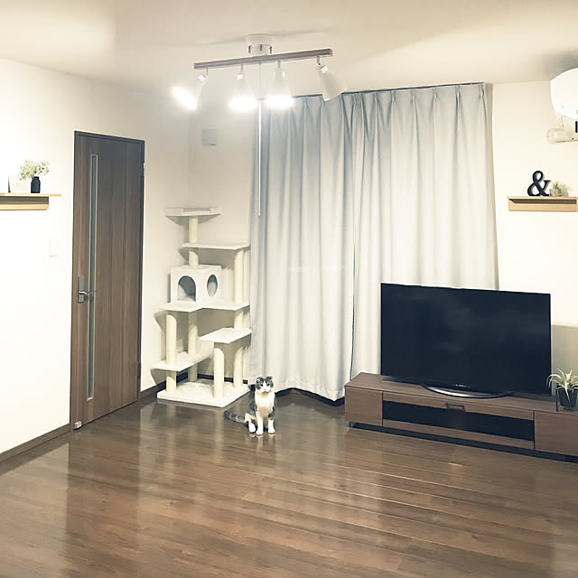 部屋全体/テレビボード/壁に付けられる家具/ウォールナット/ねこのいる日常...などのインテリア実例 - 2018-01-30 18:27:46