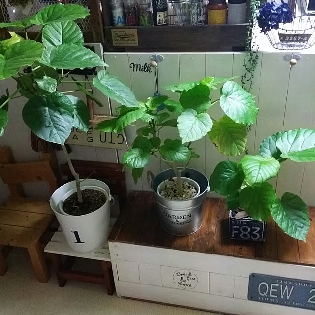 karinさんの実例写真