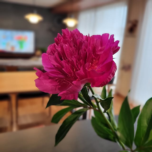 RSYさんの部屋