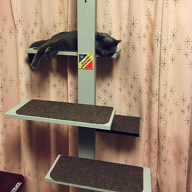 Shojiさんの実例写真