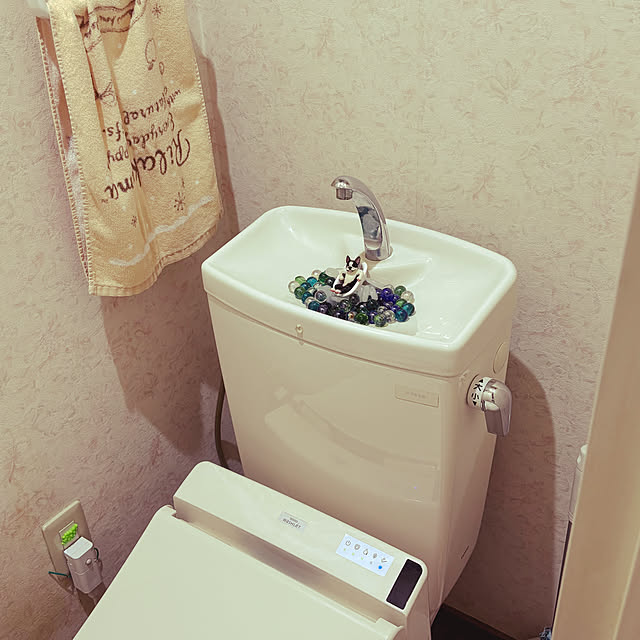 Chankoroさんの部屋