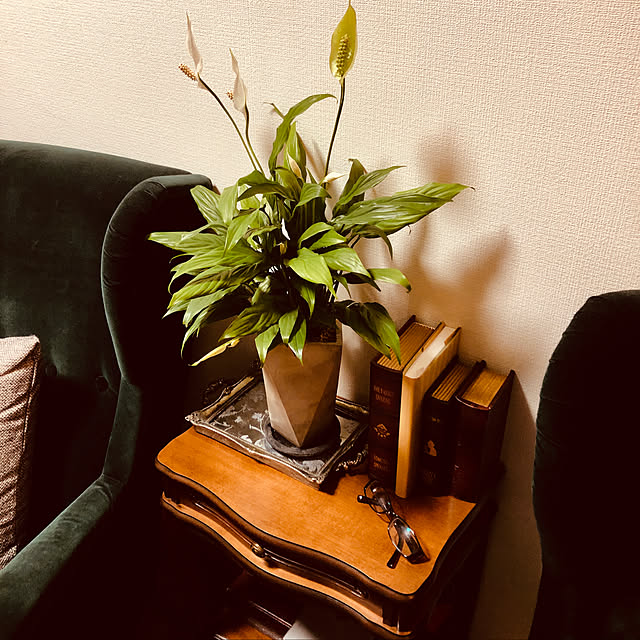 mi_chanさんの実例写真
