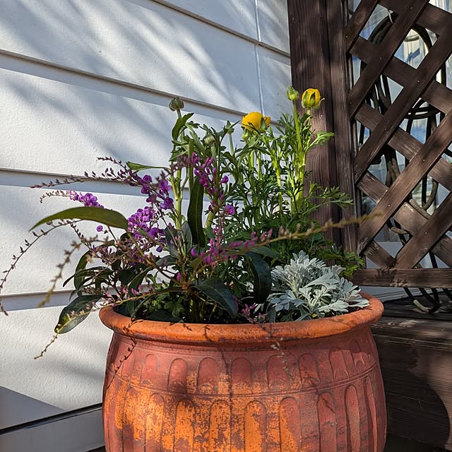 kikufujiさんの実例写真