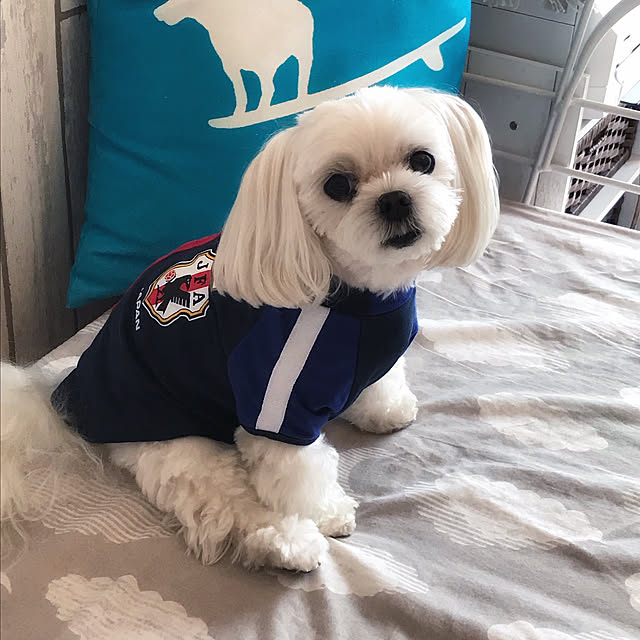 Sonokoさんの実例写真