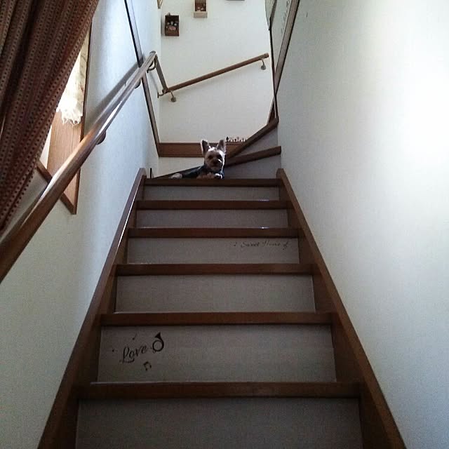 sawapuさんの実例写真