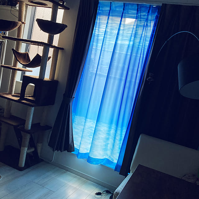 Qualle.さんの実例写真