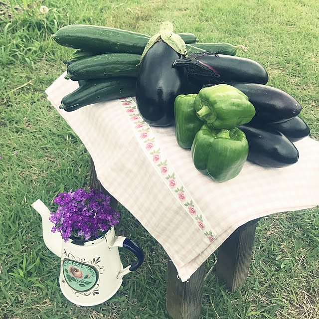 ベッド周りではありません/野菜を育てる暮らし/RCの出会いに感謝しています♡/お花に癒されます♡/いいね&フォローありがとうございます♡...などのインテリア実例 - 2019-07-03 13:09:38