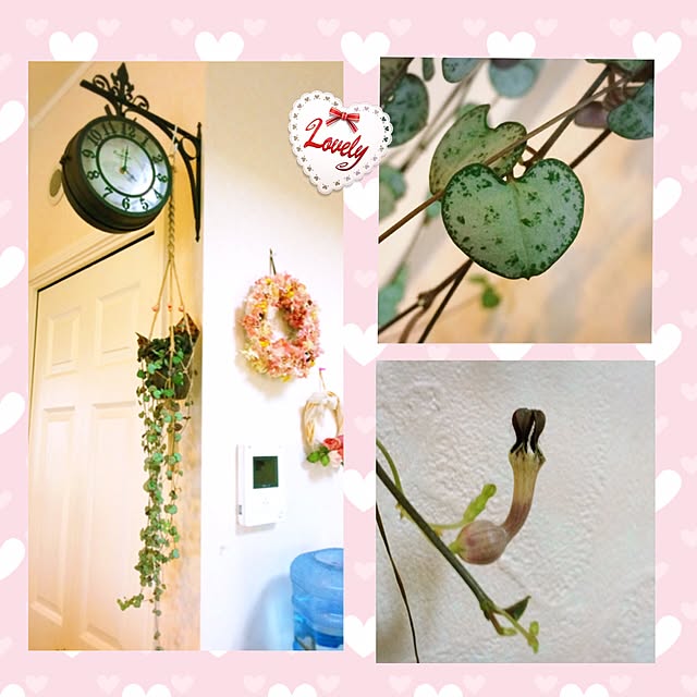 HappyRoseさんの実例写真