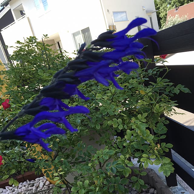 hirokoさんの実例写真