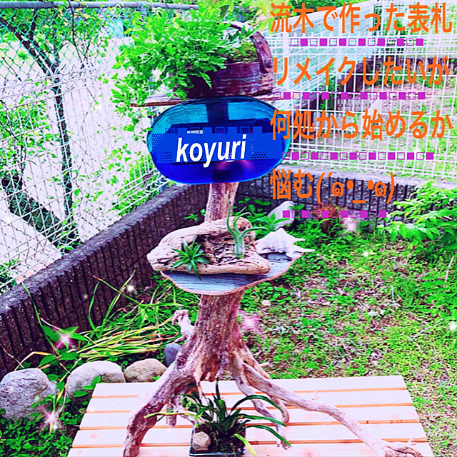 koyuriさんの実例写真