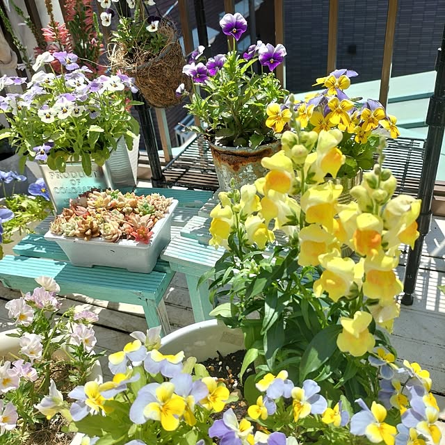 aoiroさんの部屋