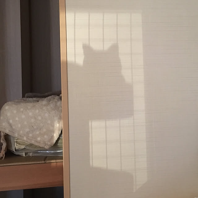 bikkeさんの実例写真