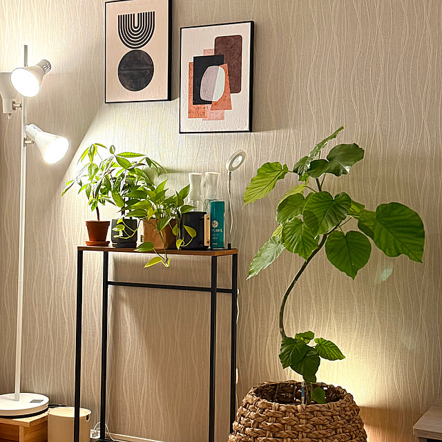 NKさんの実例写真