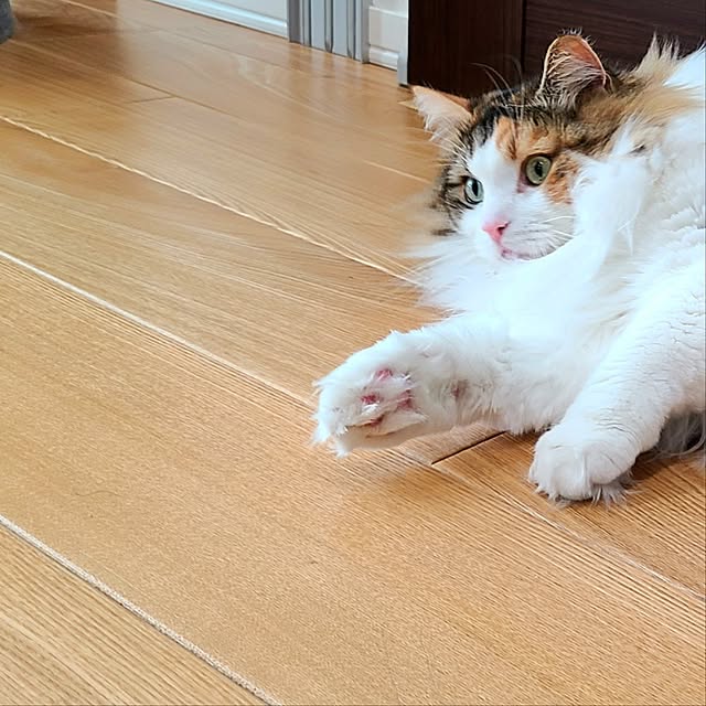 akiko6193さんの部屋