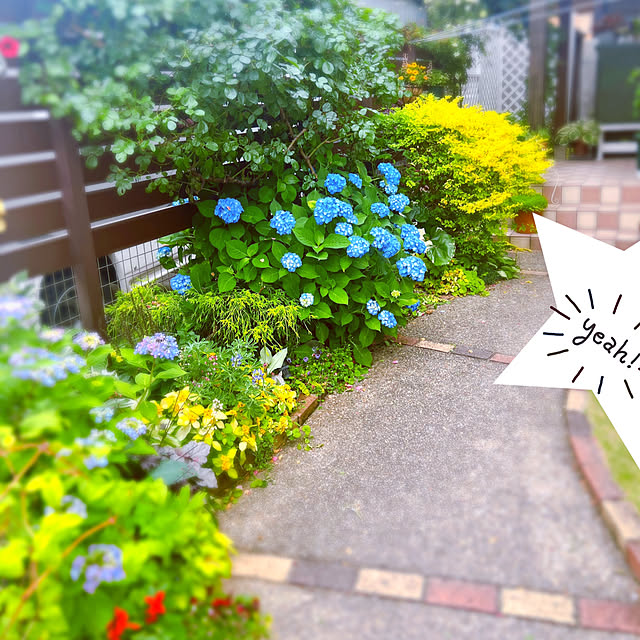 hinamamaさんの実例写真