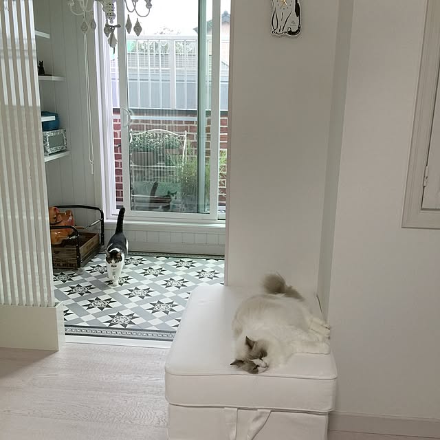 yuchiさんの実例写真