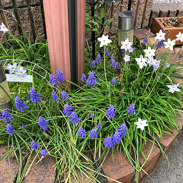 CoffeeHouseさんの部屋