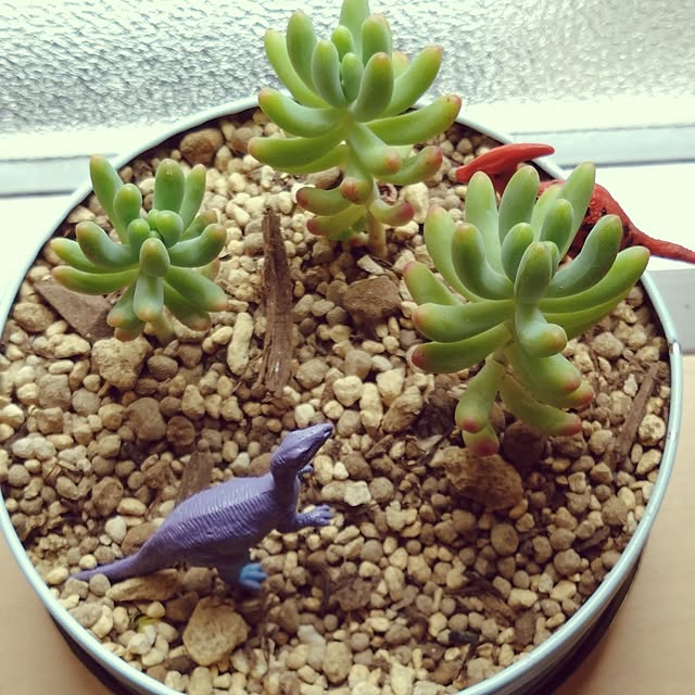 osotoさんの部屋