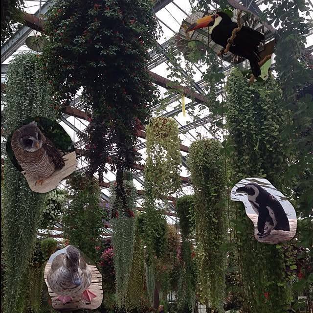 hi_iroさんの実例写真
